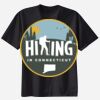 Ladies Perfect T Cotton T Shirt Thumbnail